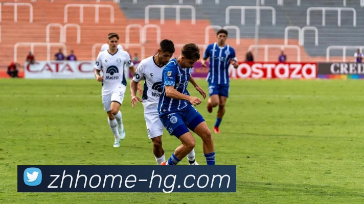 皇冠体育官网平台生态图